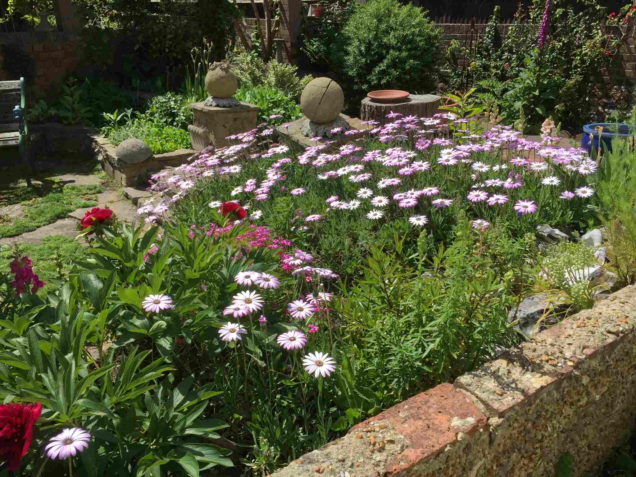 Wonderful flower bed